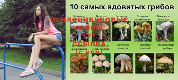 каннабис Ростов