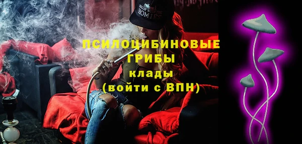 соль курить ск Рославль