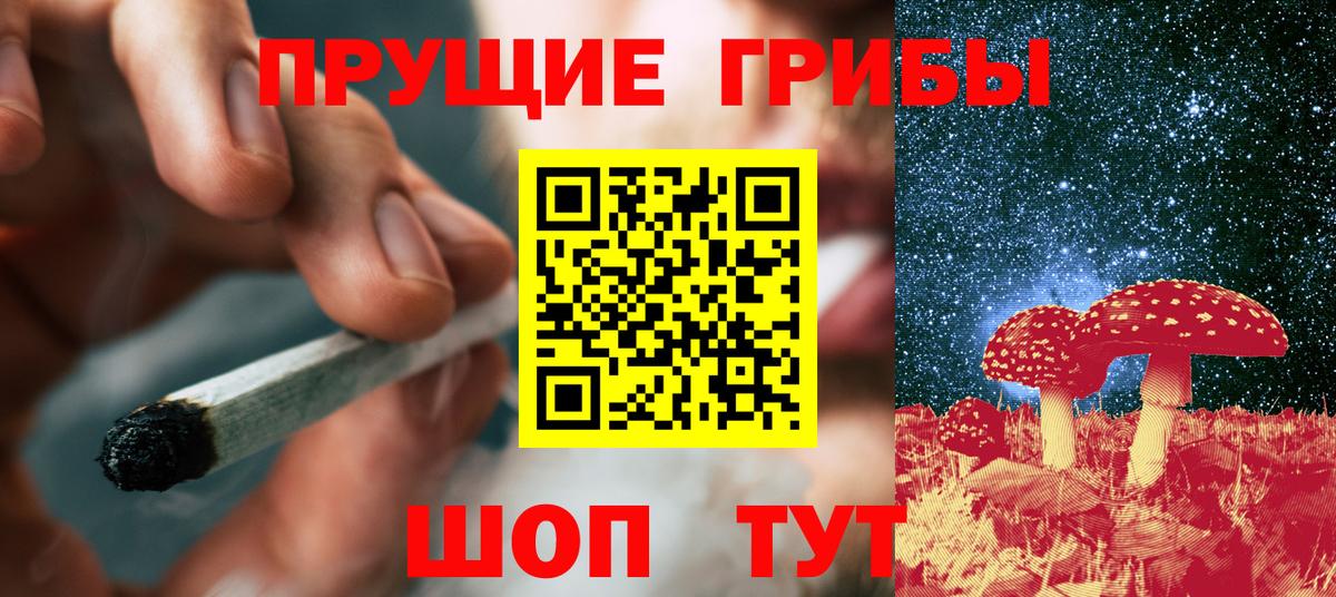 Псилоцибиновые грибы GOLDEN TEACHER Алапаевск