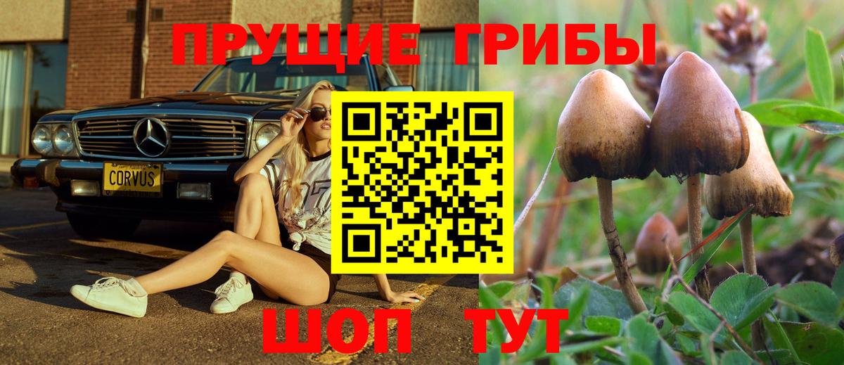 Псилоцибиновые грибы Cubensis  Вход с VPN  Алапаевск  наркотики  Псилоцибиновые грибы Psilocybine cubensis 